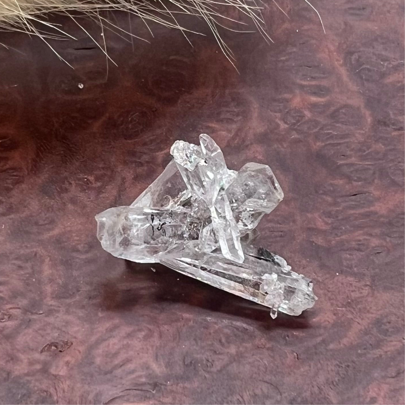 Inclusion 'Inky' Needle Quartz Mini Cluster (i) - Jinkouhe, Sichuan Province, China