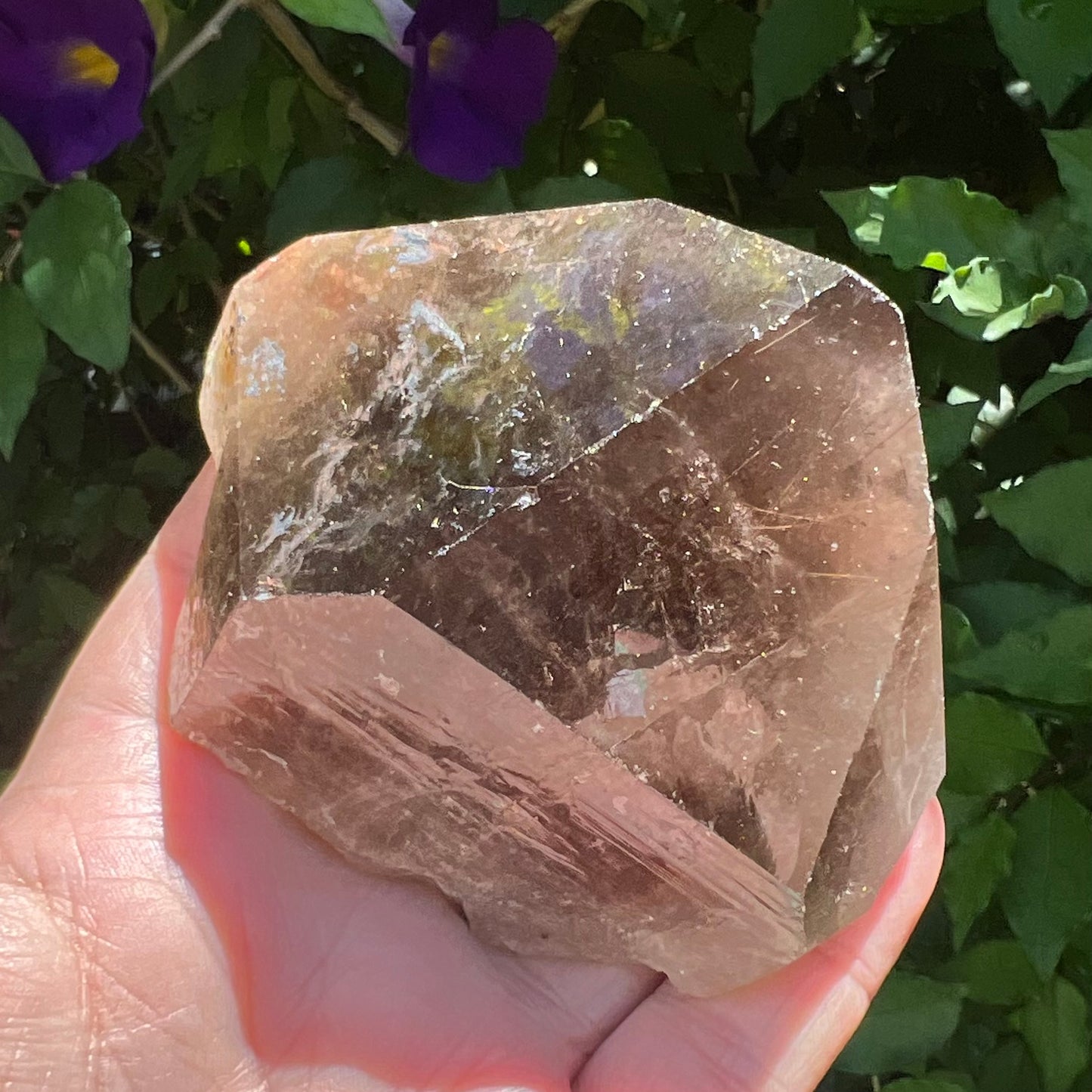 Large Natural Rutilated Smoky Quartz Point | Bahia, Brazil