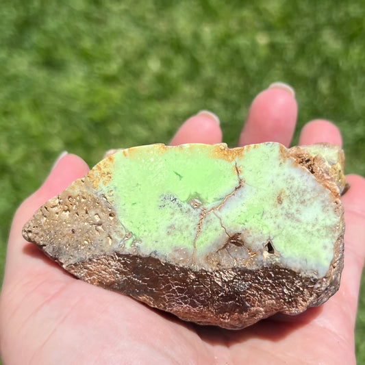 'Citron Chrysoprase' Lemon Magnesite - Australian Mineral