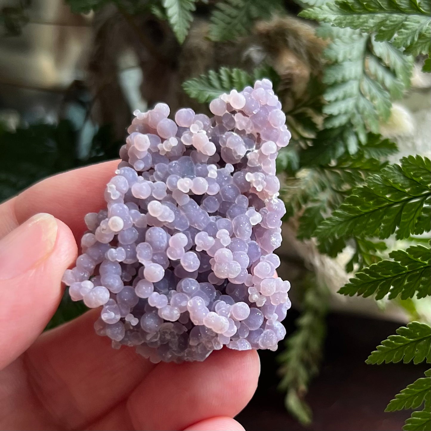 Purple Botryoidal Grape Agate Cluster (i)