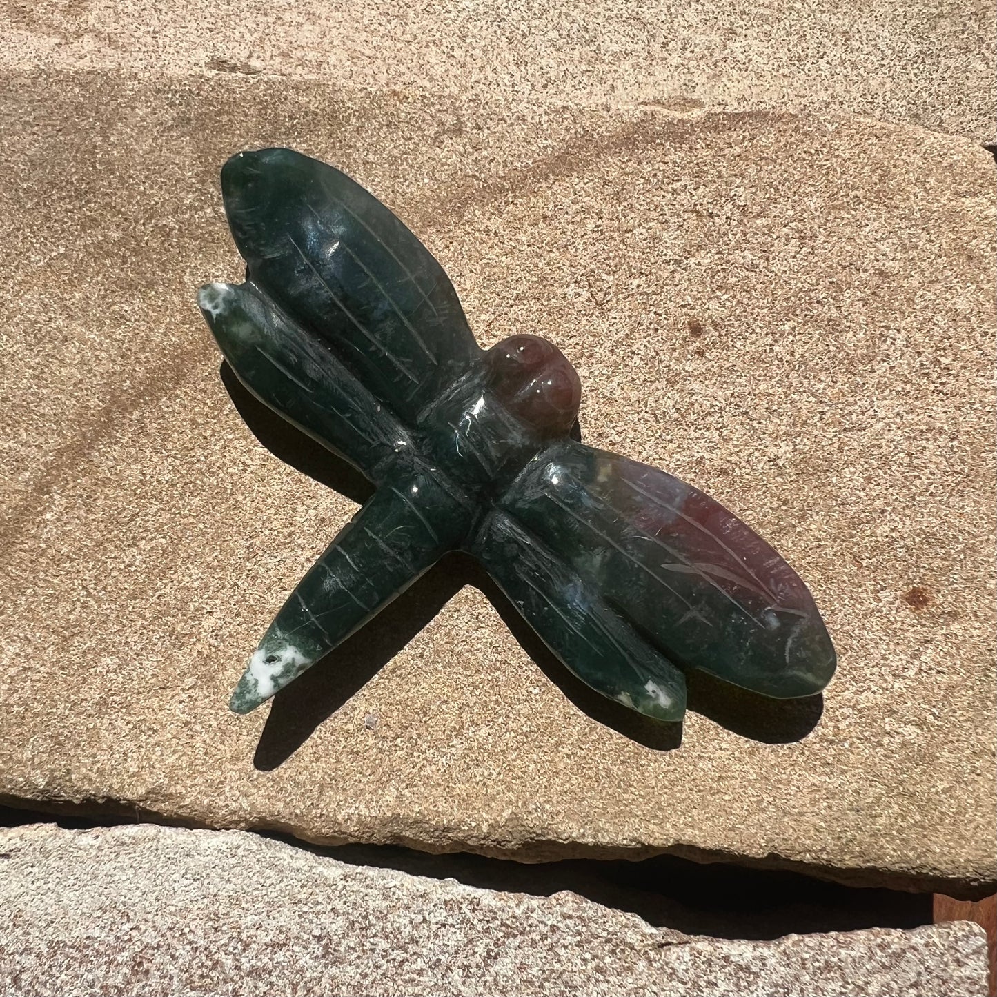 Ocean Jasper Dragonfly (ii)