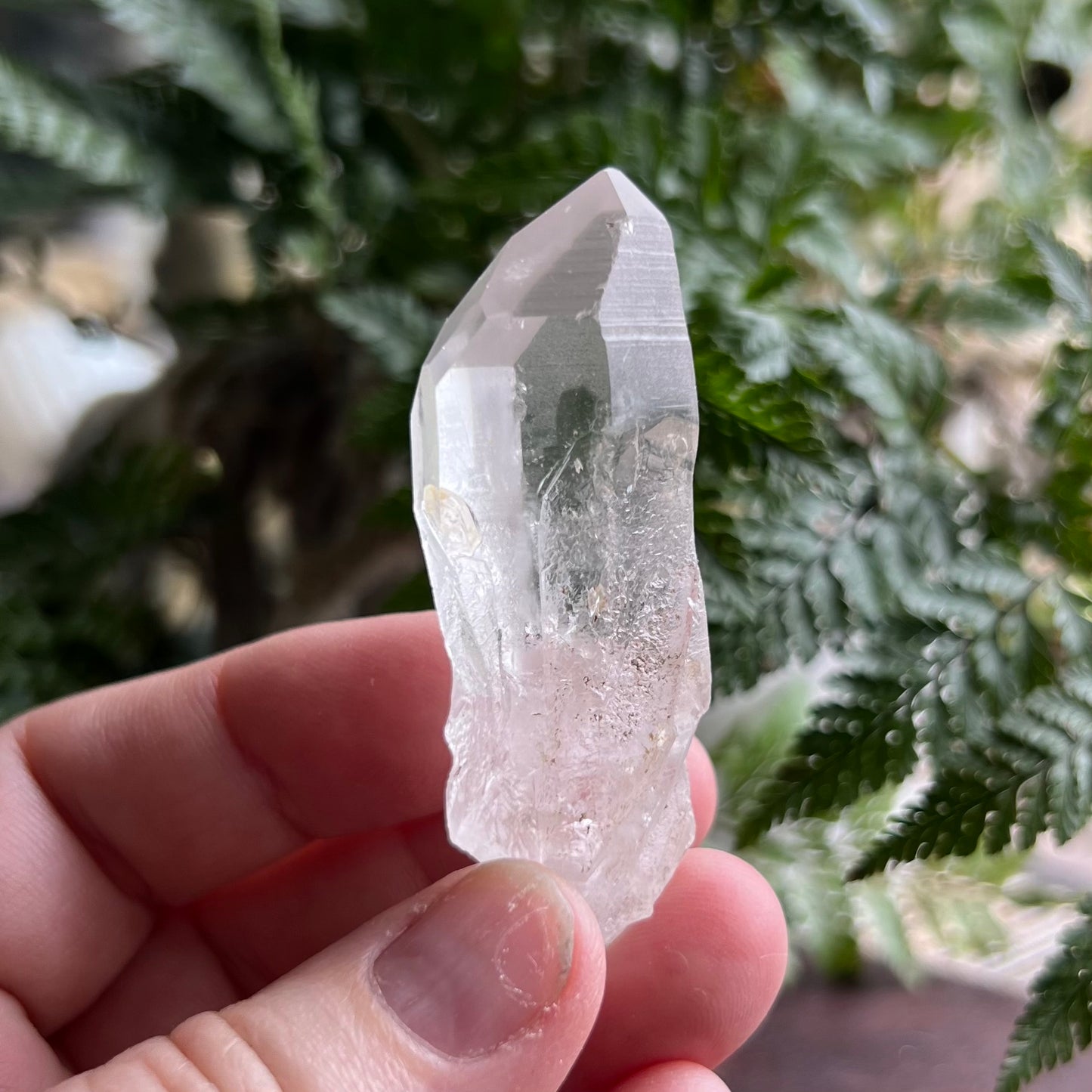Diamond Window & Future Time-Link window Lemurian Quartz Point