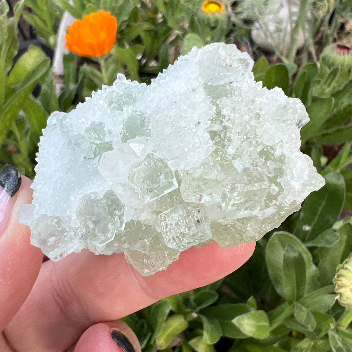 Green Octahedral Fluorite Specimen coated in Clear Quartz Druzy blanket - Fujian, China