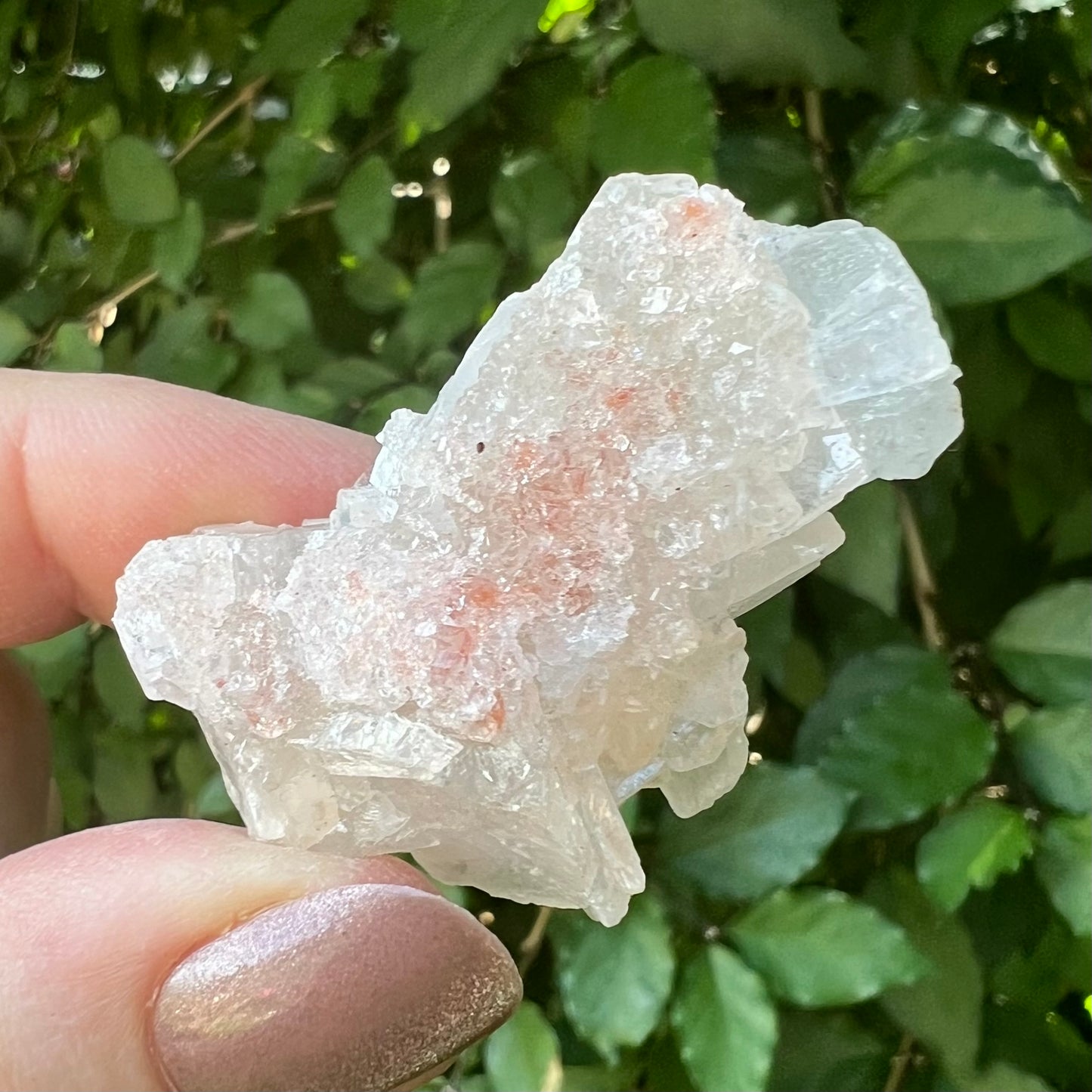 Pink Sugar Apophyllite Druzy 

