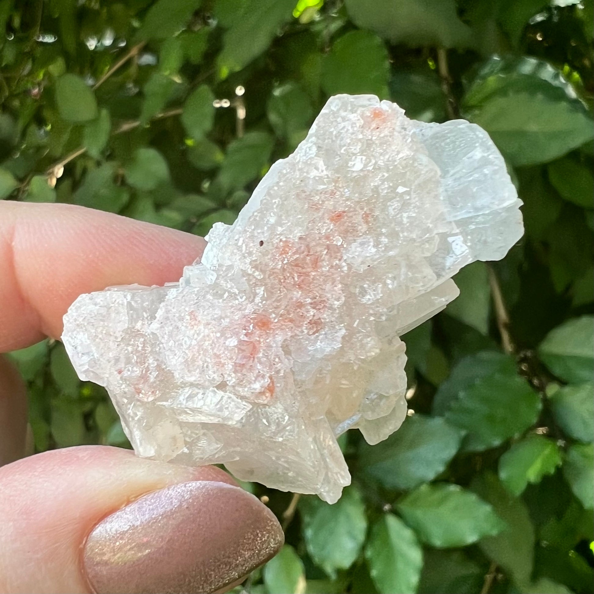 Pink Sugar Apophyllite Druzy 
