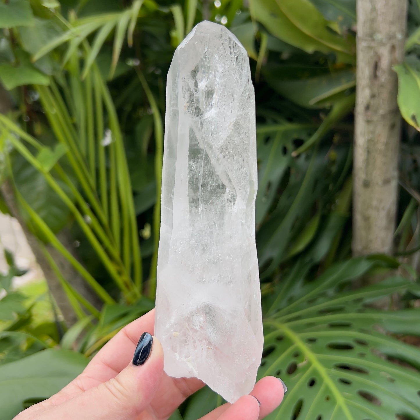 Reserved for Natasha - Large Quartz Point (Brazil)