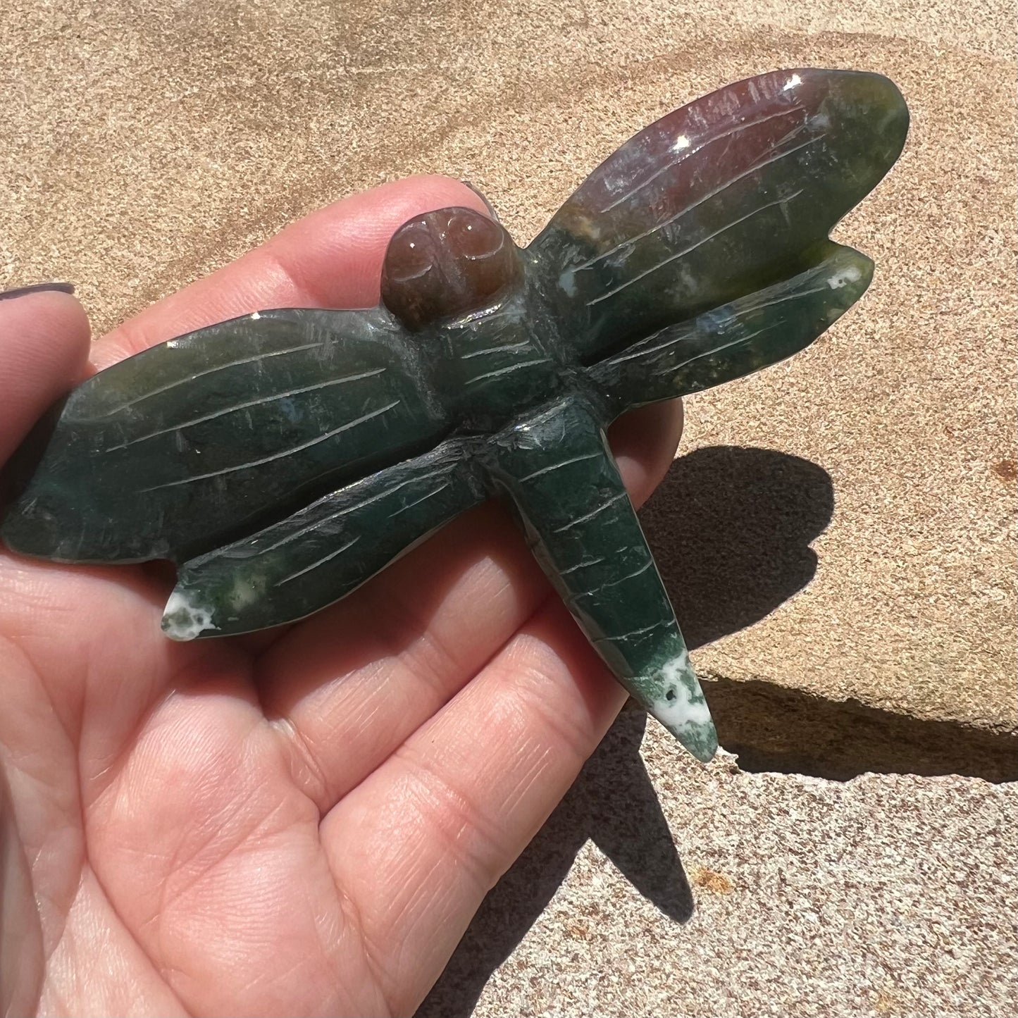 Ocean Jasper Dragonfly (ii)