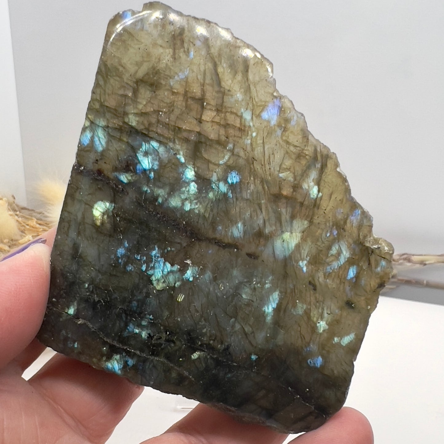 Labradorite - Flashy polished raw Specimen