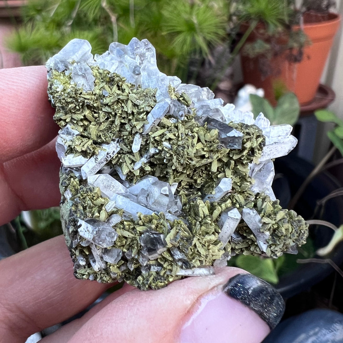 Epidote and Quartz Cluster Specimen - 'Fairy Forest' specimen