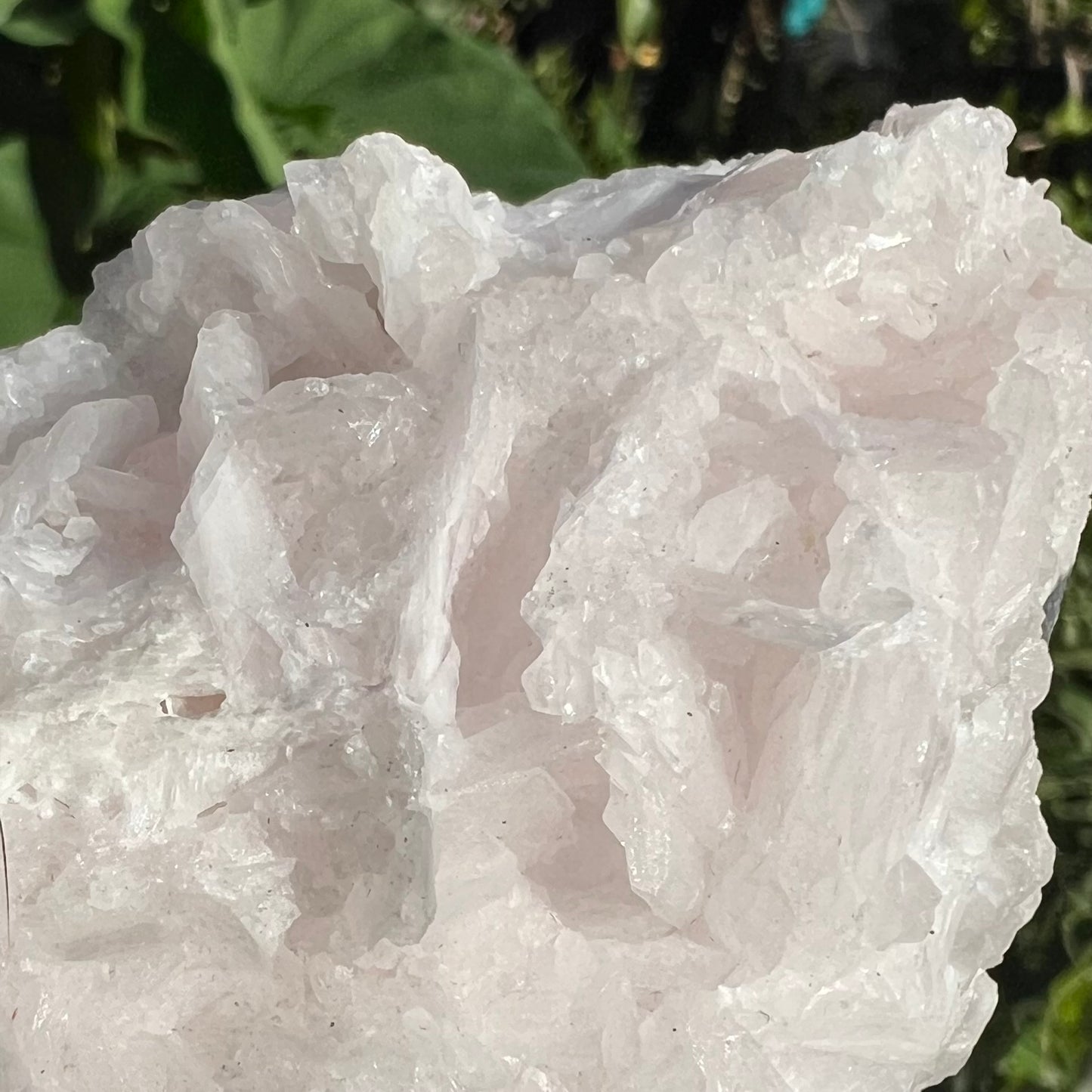 Pink ‘Rose Petal’ Calcite Mineral Specimen - Hubei, China | UV Reactive