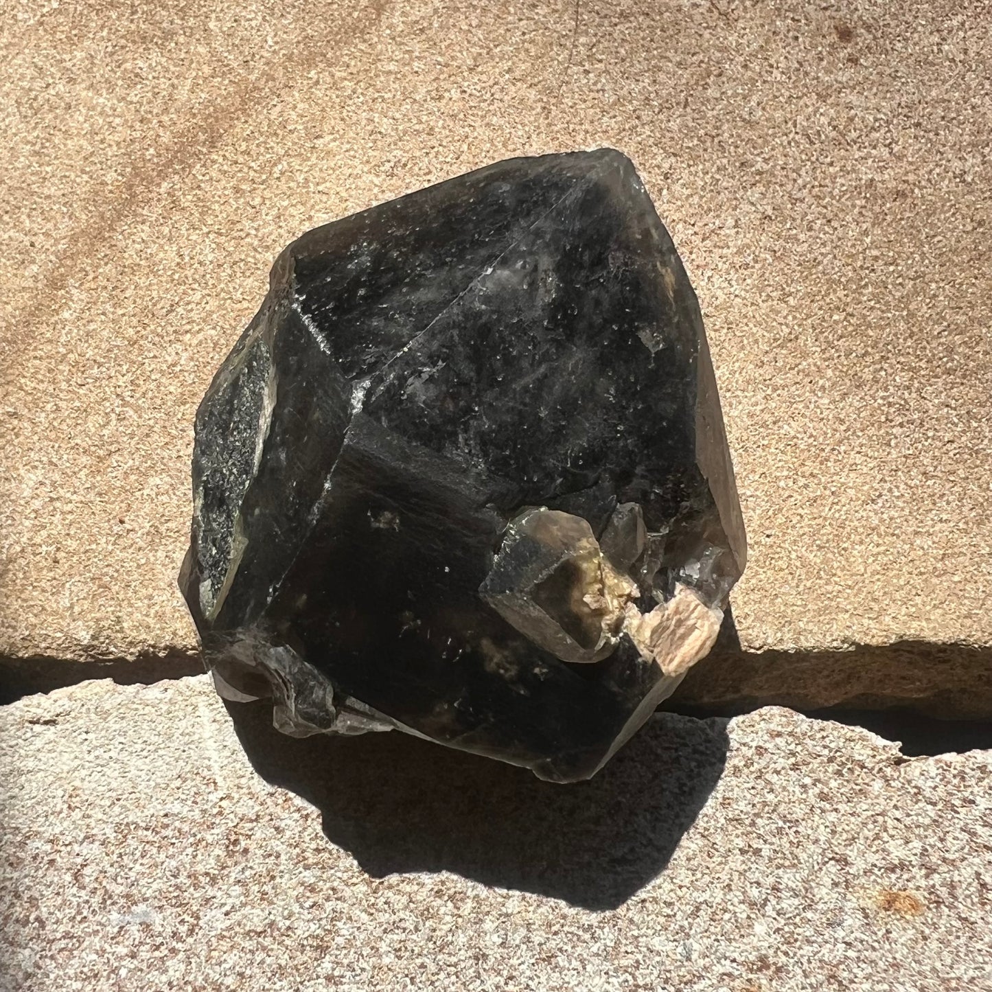 Morion Black Quartz Point | Smoky Quartz Cap | Natural Imprinted base