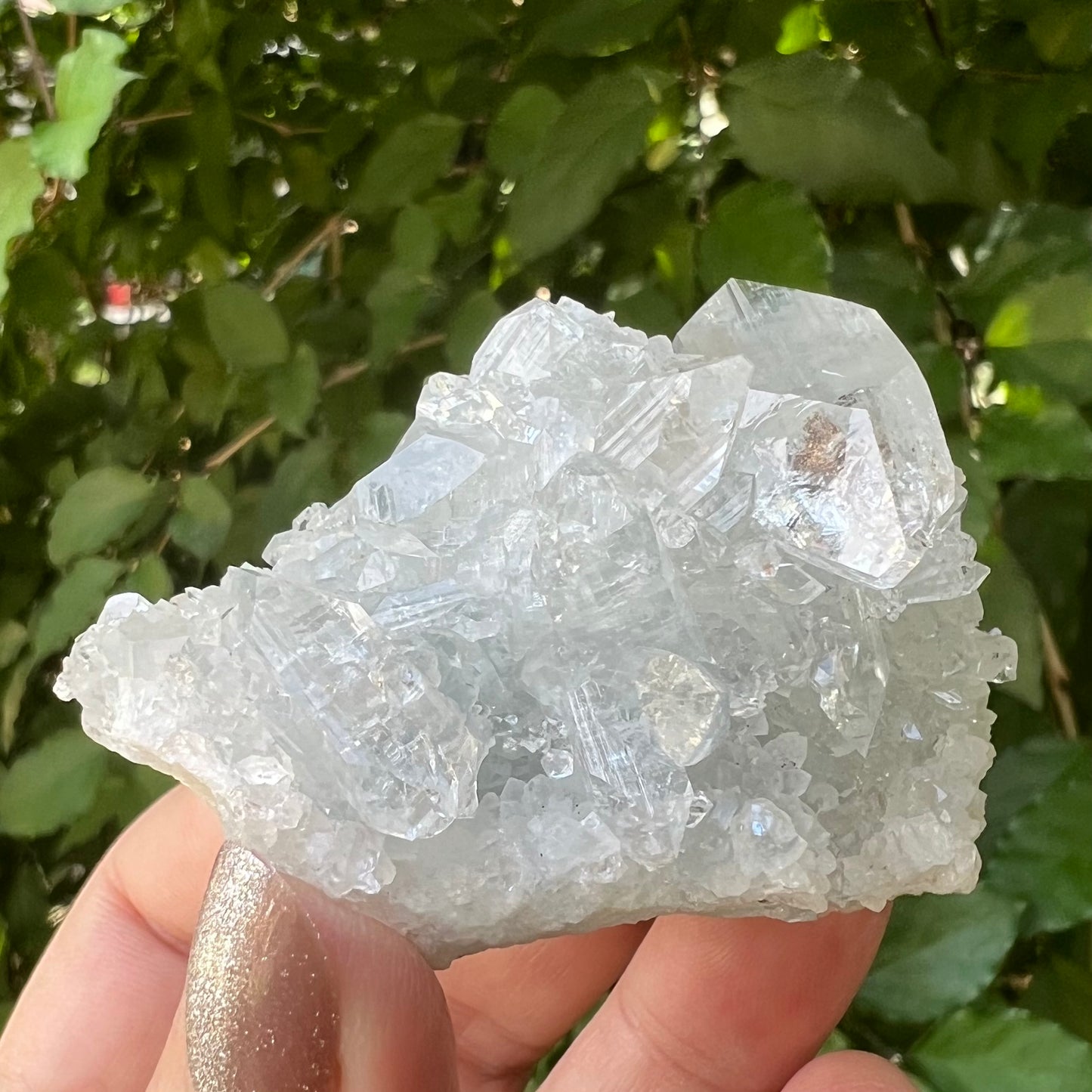 Mirror Apophyllite and Apophyllite Druzy with Stilbite Zeolite Cluster - Jalgoan District, Maharashtra, India