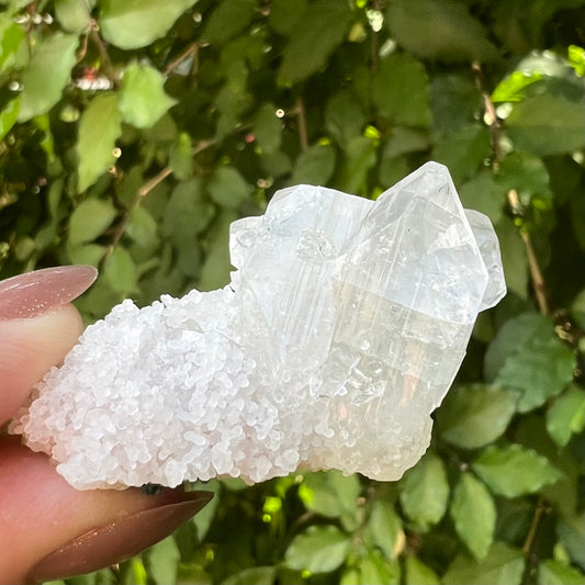 Mirror Apophyllite on Druzy Apophyllite Small Zeolite Cluster - Jalgoan District, Maharashtra, India