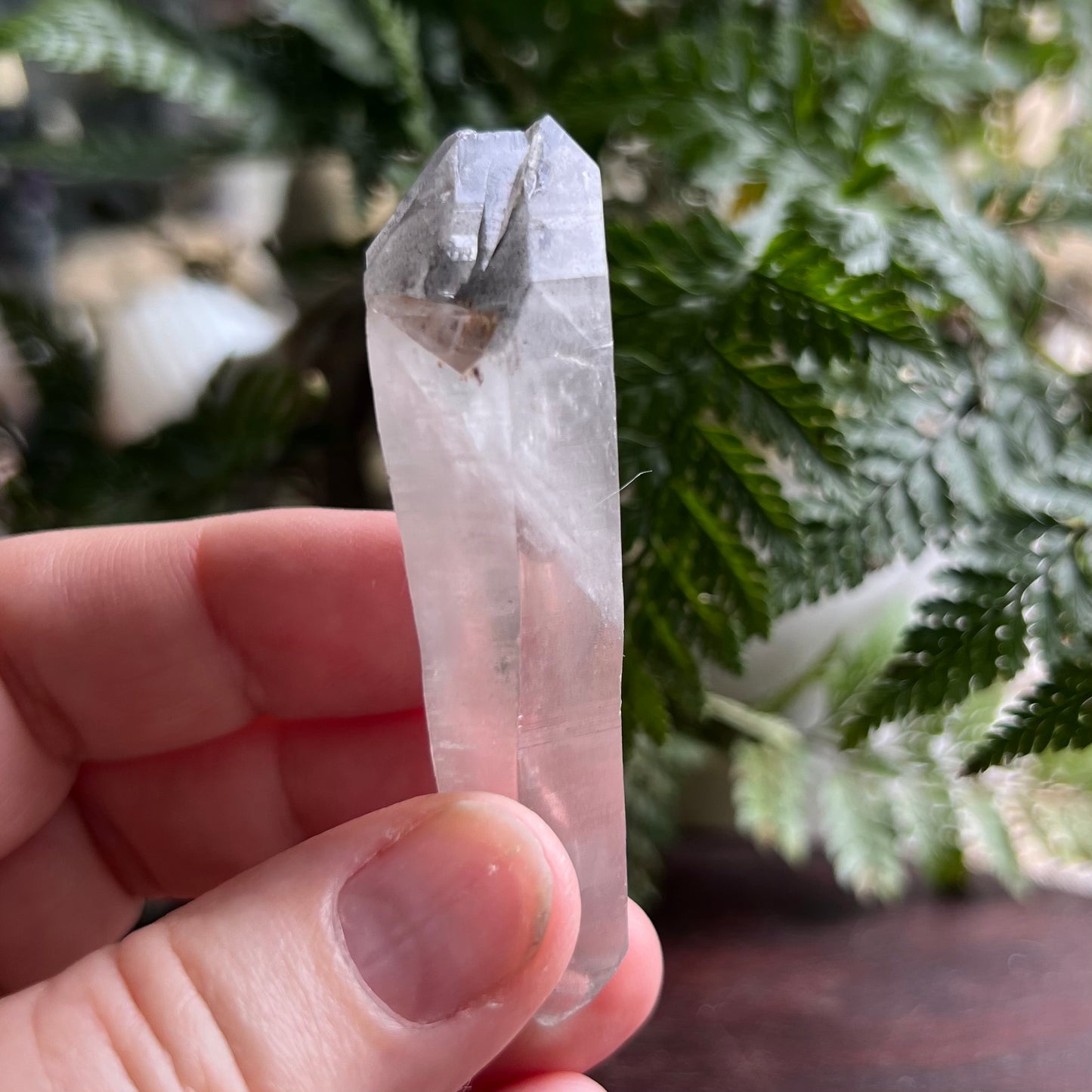 Double Terminated Black Phantom Quartz Point