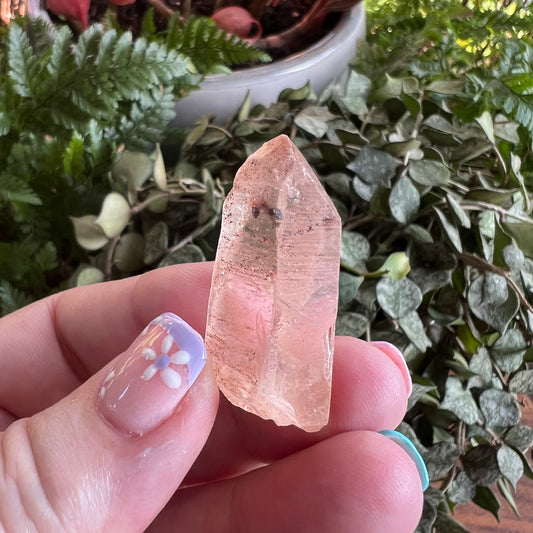 Scarlet Temple Lemurian Quartz Point