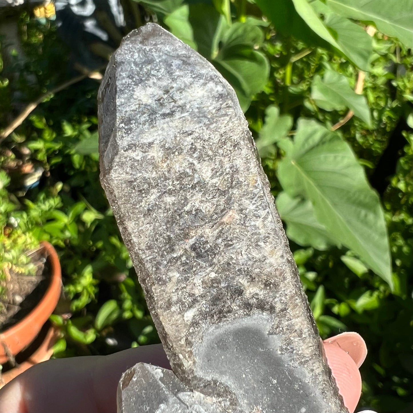 Black Quartz Twin Points | Inner Mongolia | Heavily etched Smoky Quartz