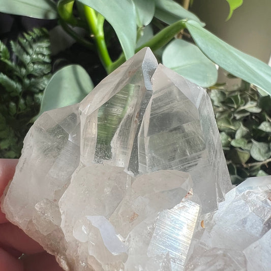 Himalayan Samadhi Quartz Cluster (207g)