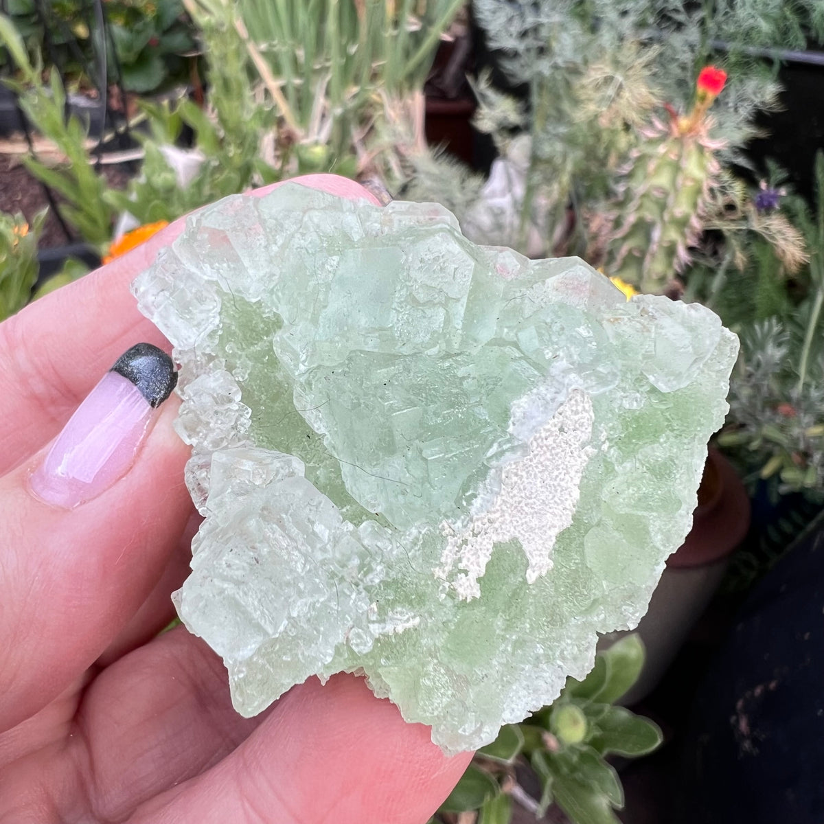 Green Octahedral Fluorite Specimen - Fujian, China