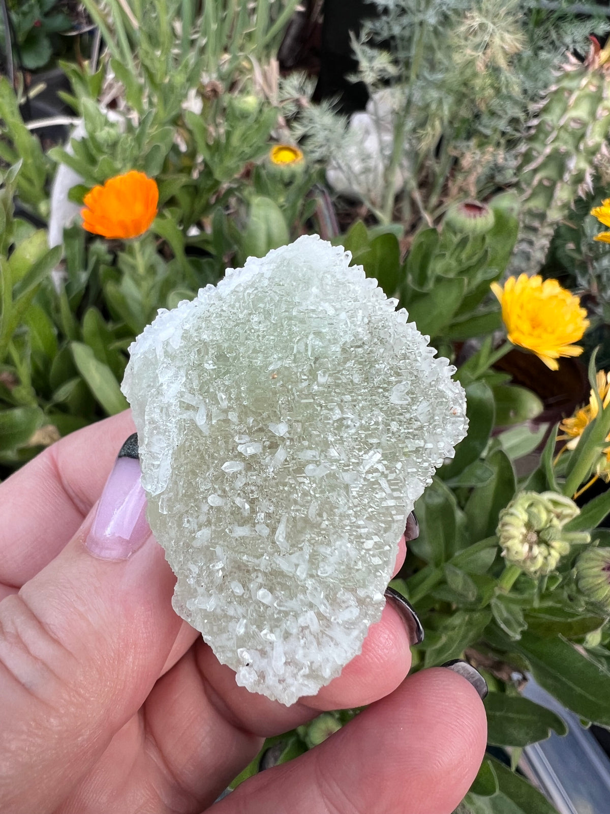 Large Octahedral Fluorite Section Specimen blanketed in Quartz Druzy