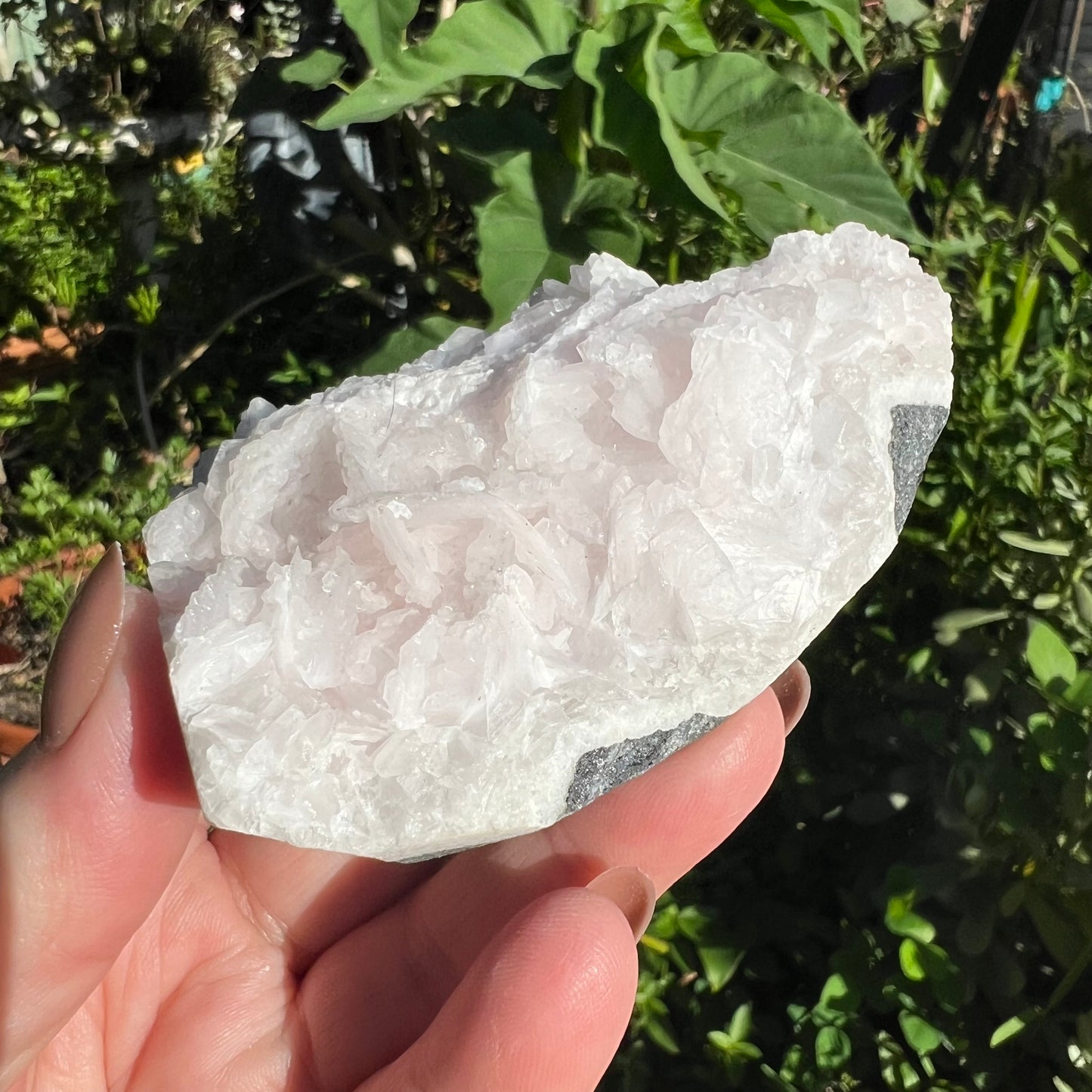 Pink ‘Rose Petal’ Calcite Mineral Specimen - Hubei, China | UV Reactive