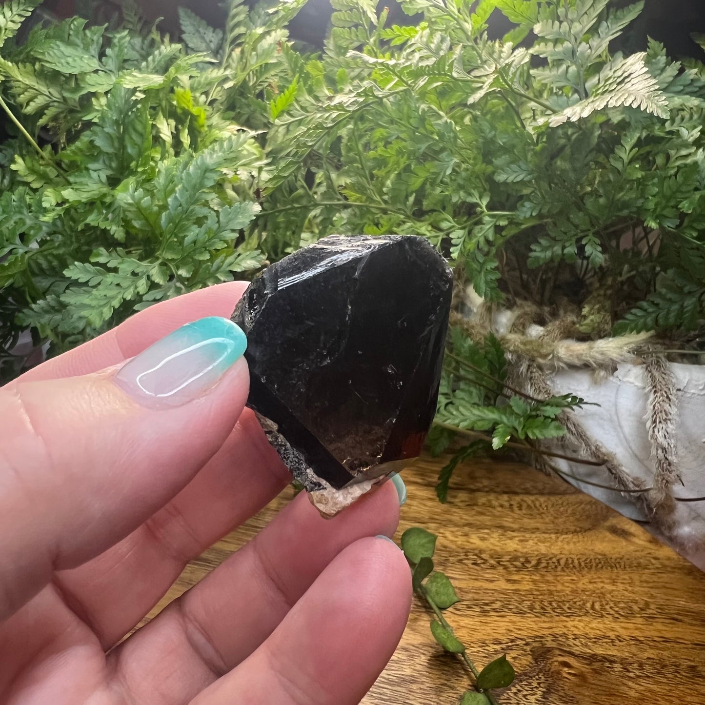 Morion Quartz Point - Black Quartz - Natural - Record Keepers