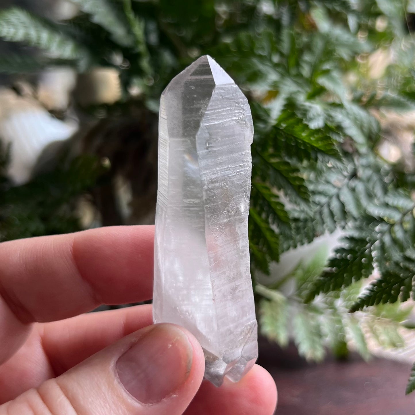 Black Phantom Quartz Double Terminated Point