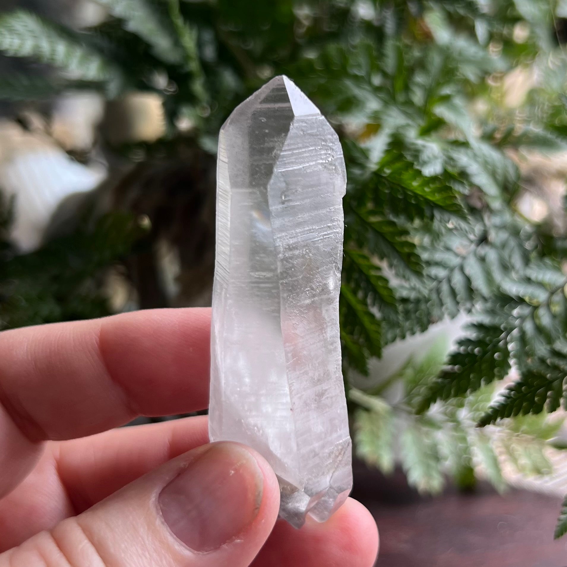 Black Phantom Quartz Double Terminated Point