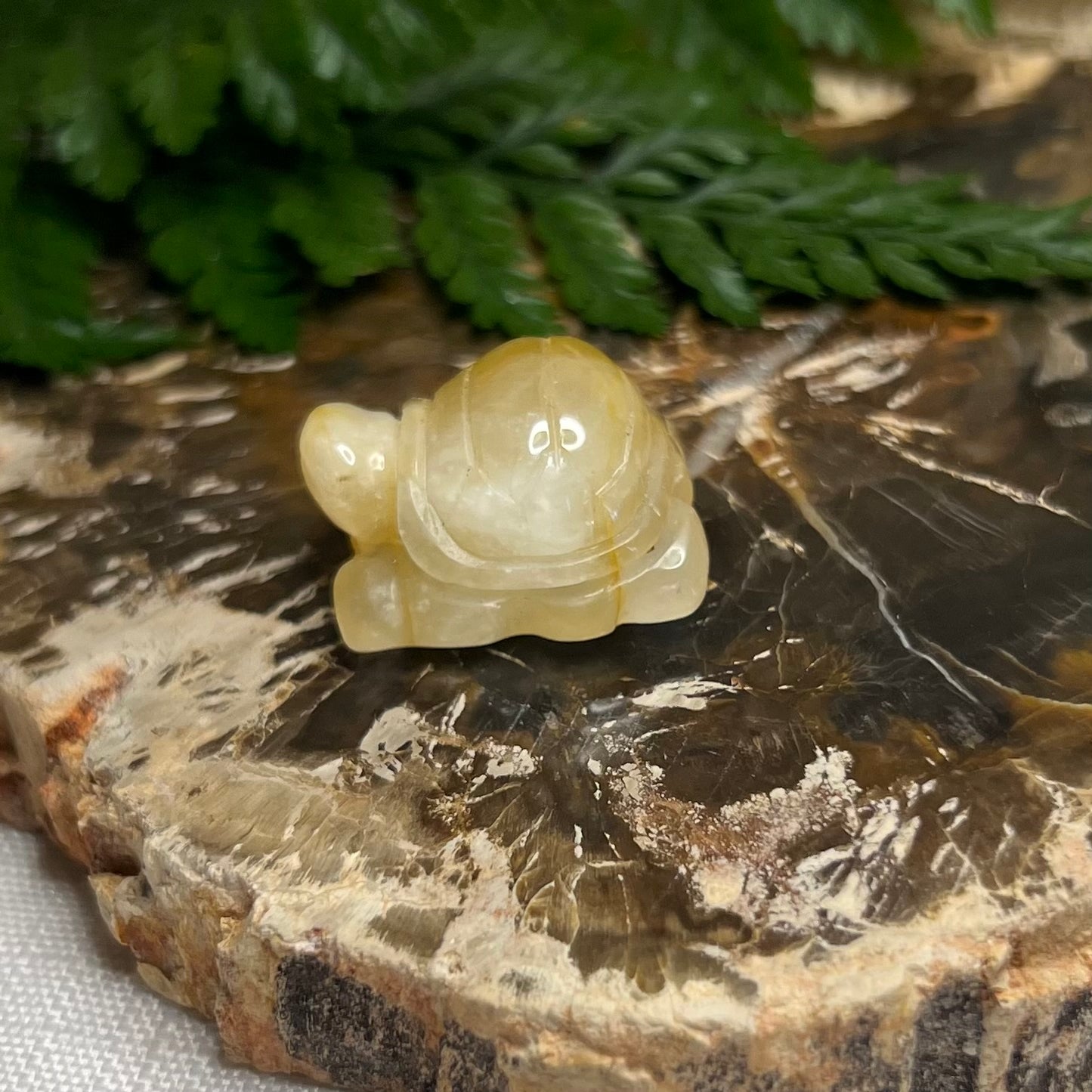 Golden Healer Turtle Mini Carving