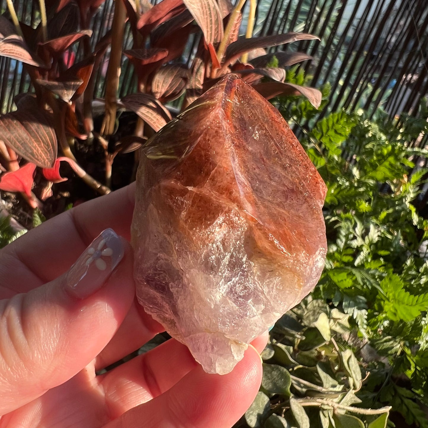 Red Cap Amethyst | Auralite-23 Large Natural Point