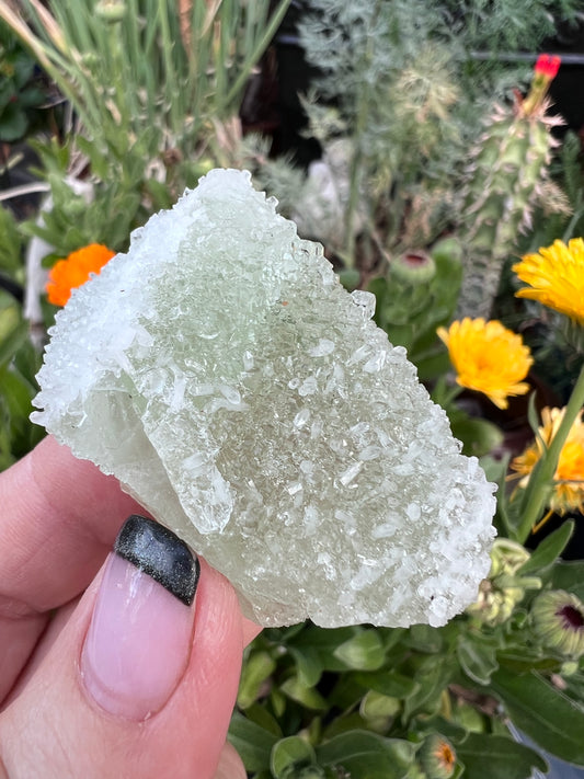 Large Octahedral Fluorite Section Specimen blanketed in Quartz Druzy