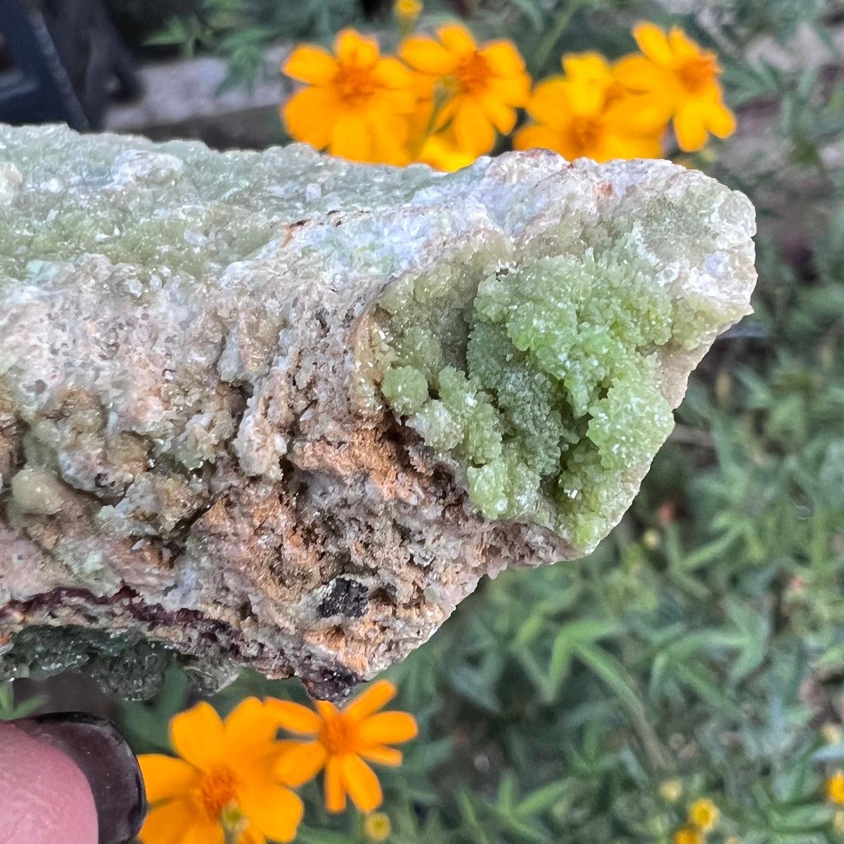 Close up of the other end of the shelf specimen with a secondary pyromorphite cluster of fine apple green barrel like crystals.