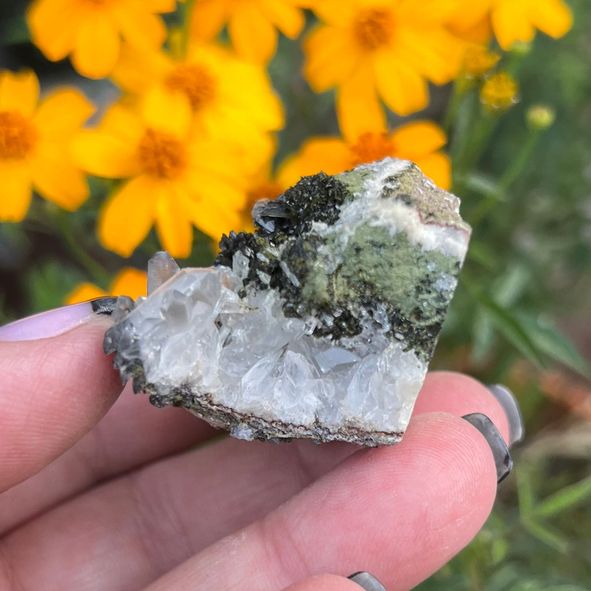 Epidote and Quartz 'Sandwich' Cluster Specimen - 'Fairy Forest' specimen