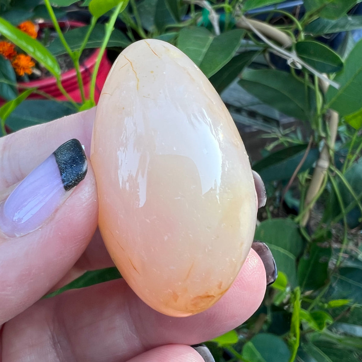 Polished Apricot Flower Agate Geode Egg with banding and a Crystalline Druzy Cave