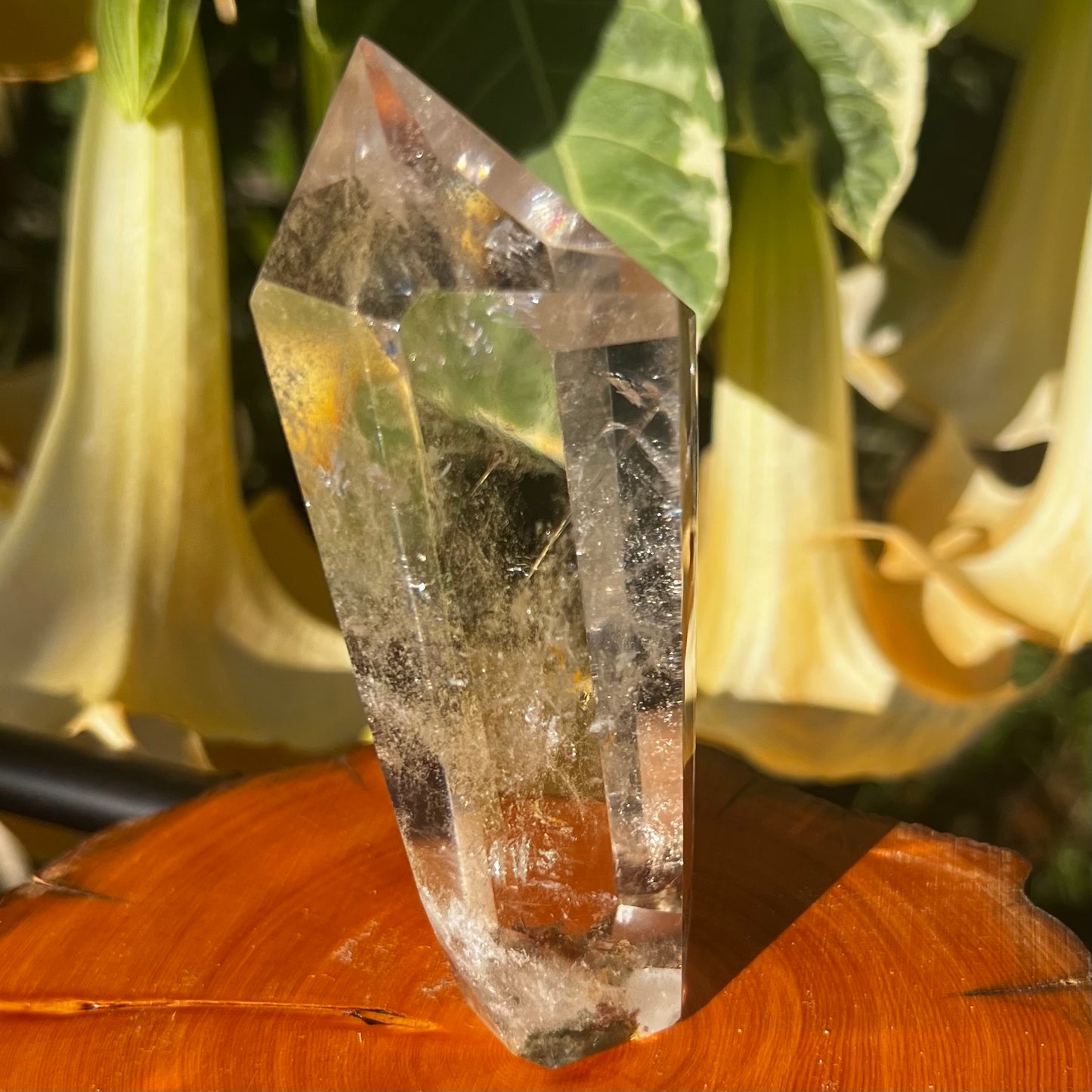 Garden Quartz Polished Point | Inclusion Hyaline Quartz | Brazil
