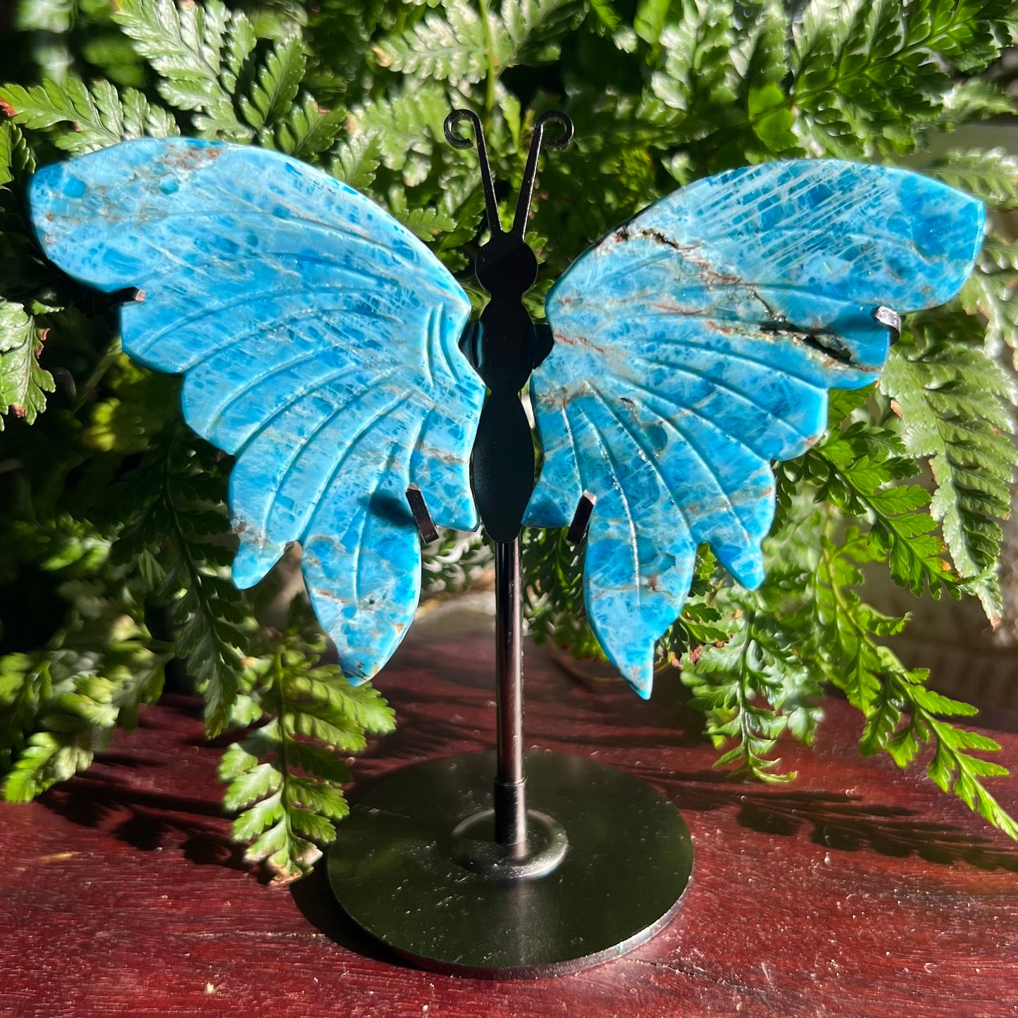 Apatite Winged Butterfly Display