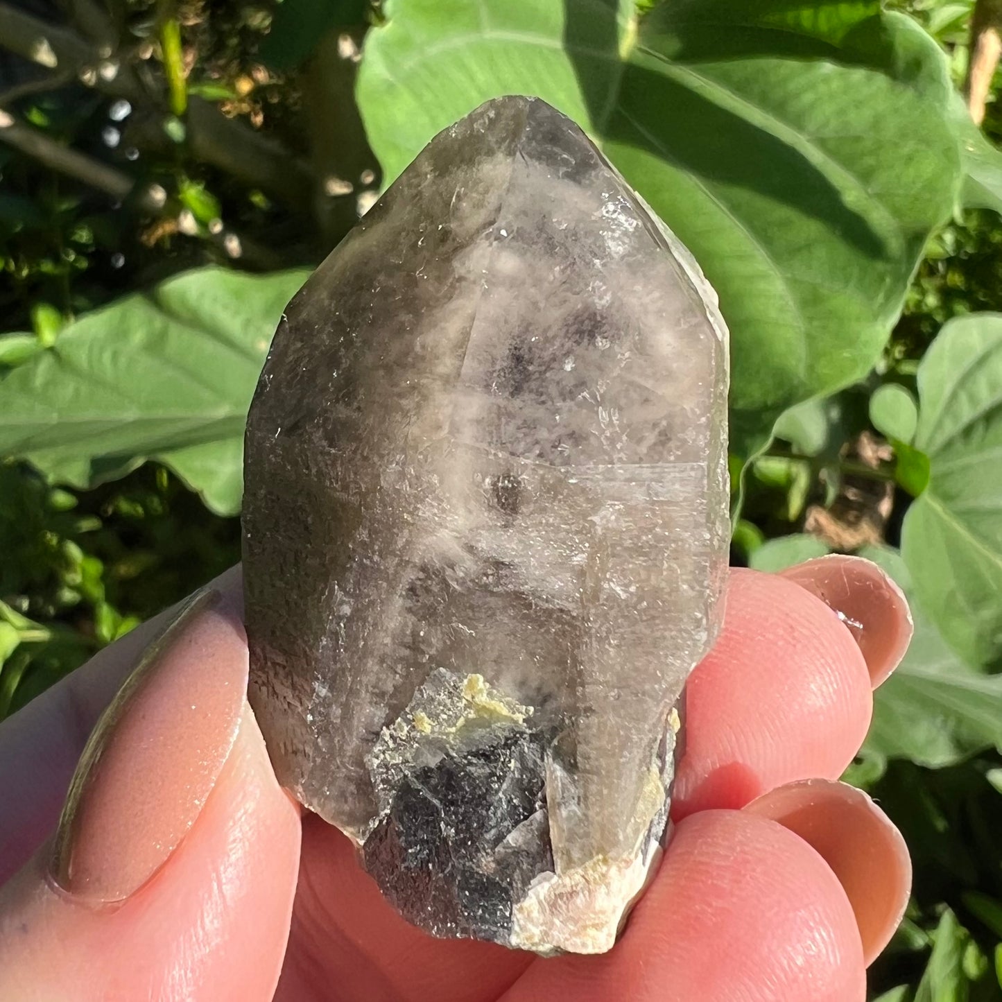 Morion Black Quartz with Clear Smoky Quartz Phantom Cap | China