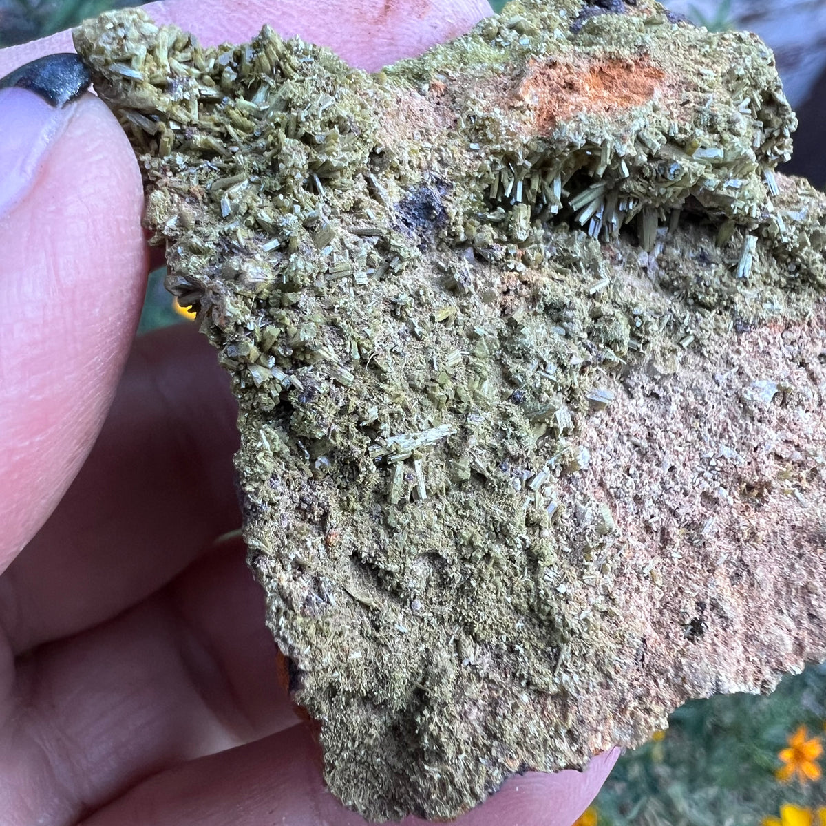 A close-up of rough, natural Epidote mineral on matrix. Textured greenish-gray crystalline Epidote.
