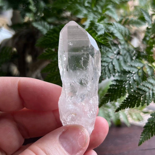 Diamond Window & Future Time-Link window Lemurian Quartz Point