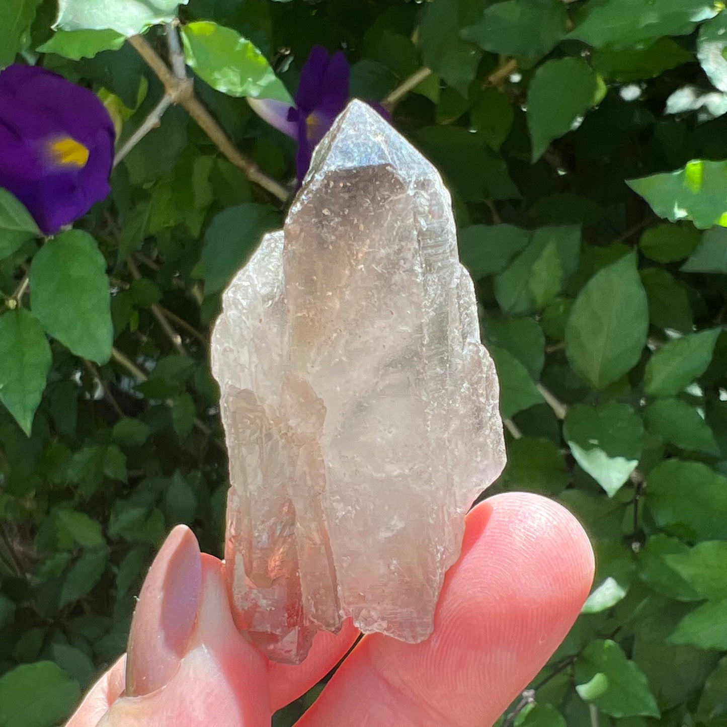 Smoky Quartz Points - small rough specimen