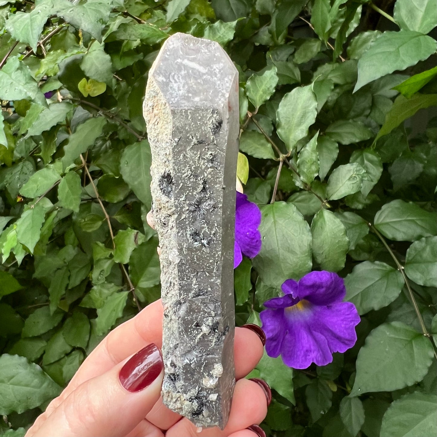 Inner Mongolian Quartz Point with Calcite, Specular Hematite, Hedenbergite and Iron Ore inclusions
