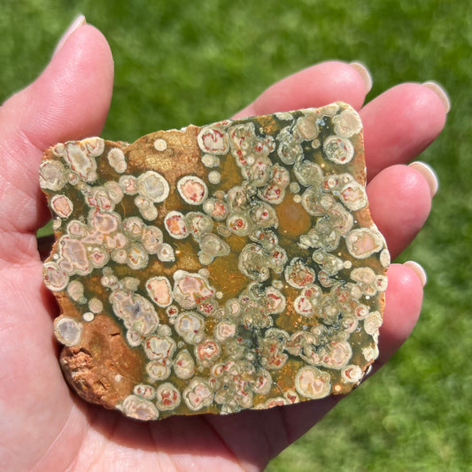 Queensland Rhyolite with polished face: Australian Mineral Specimen