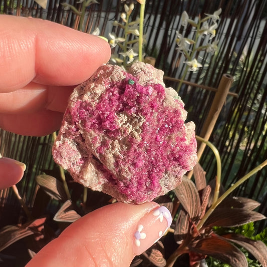 Sparkly Cobaltoan Calcite Specimen (ii)