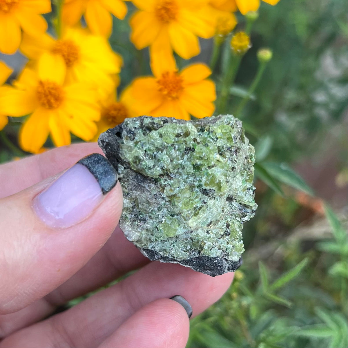 Olivine/Peridot rough specimen - Øtrøy, Norway
