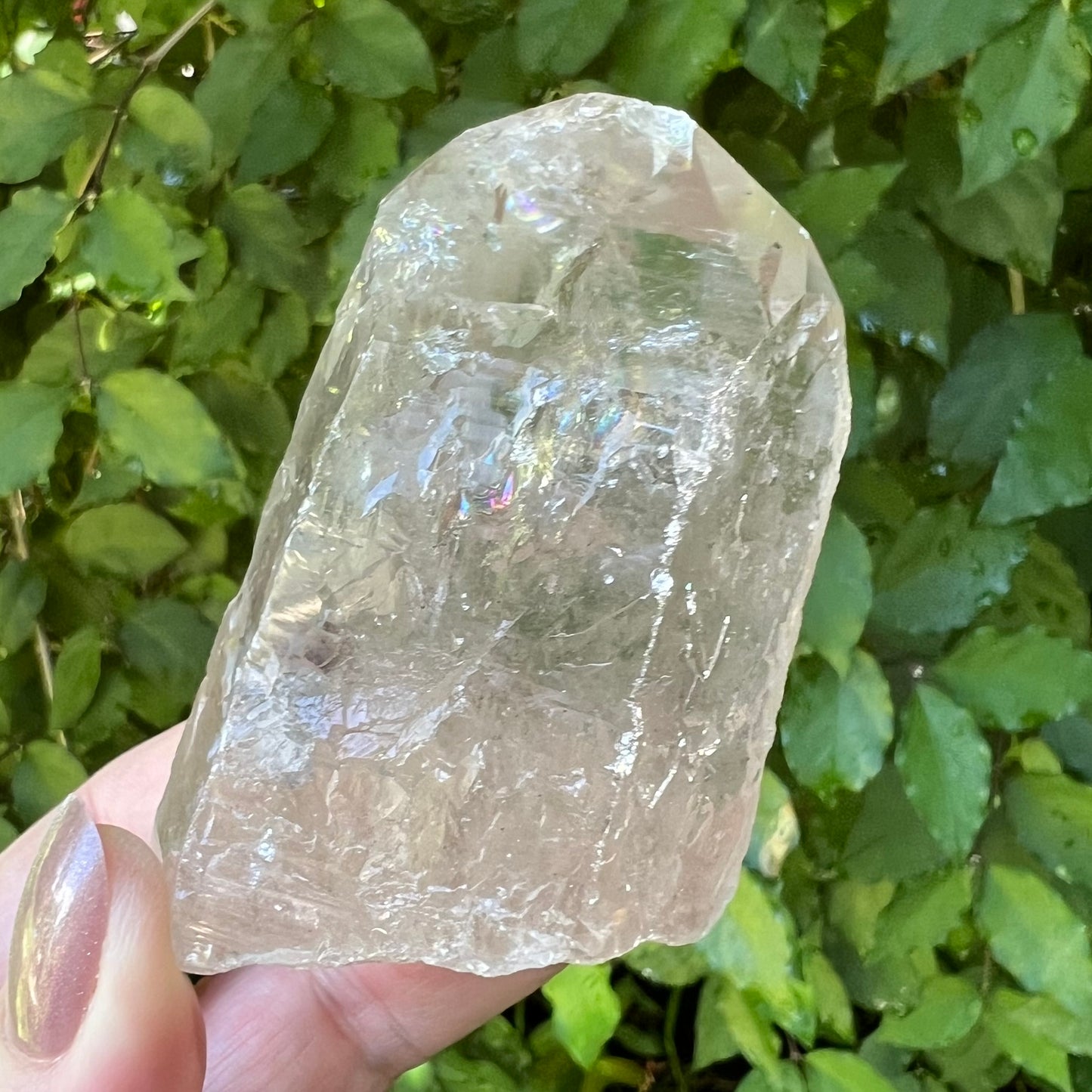 Smoky Quartz Point - Brazil - 9-sided face | Glyphs | Closure of Spiritual/Emotional Journeys | Compassion & Altruism