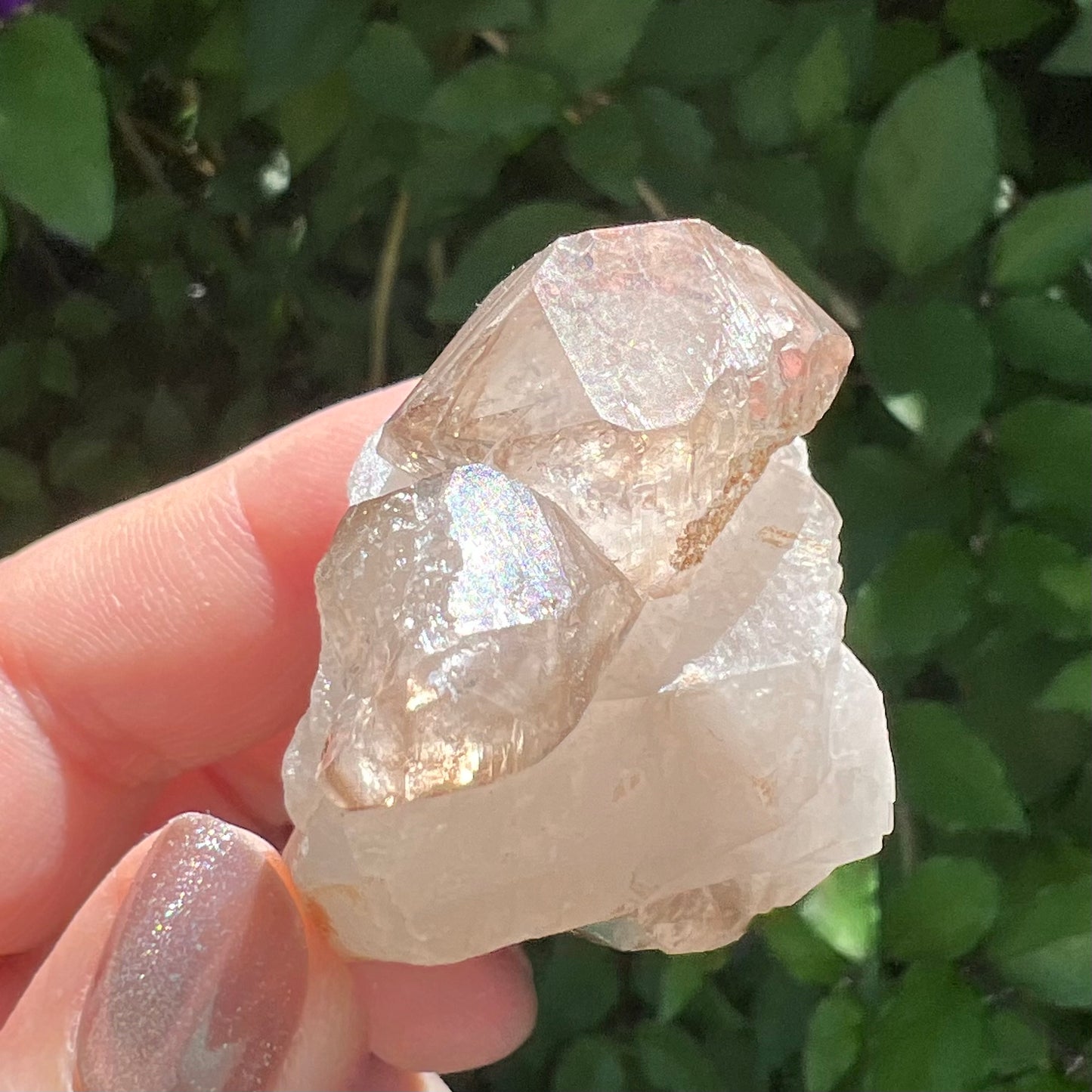 Quartz with Smoky Quartz double-terminated points - Inner Mongolia