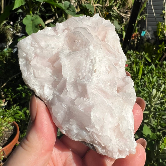 Pink ‘Rose Petal’ Calcite Mineral Specimen - Hubei, China | UV Reactive