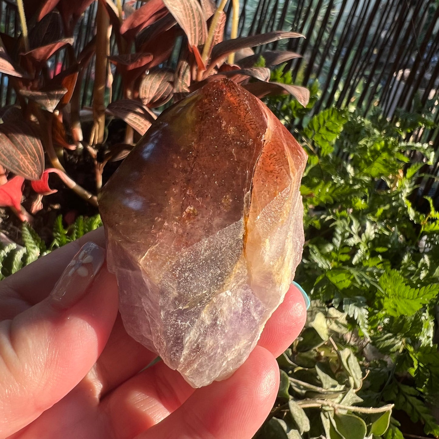 Red Cap Amethyst | Auralite-23 Large Natural Point