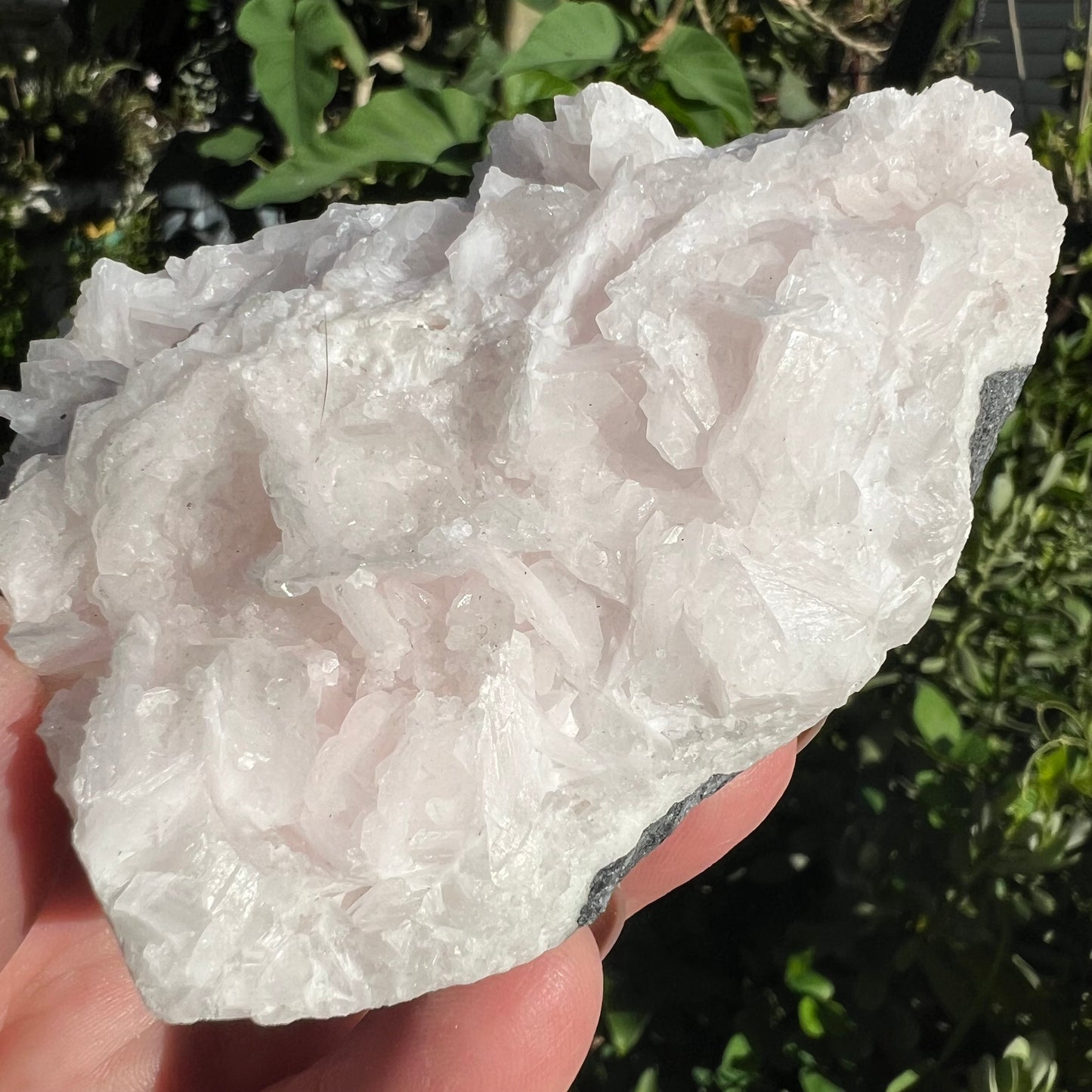 Pink ‘Rose Petal’ Calcite Mineral Specimen - Hubei, China | UV Reactive