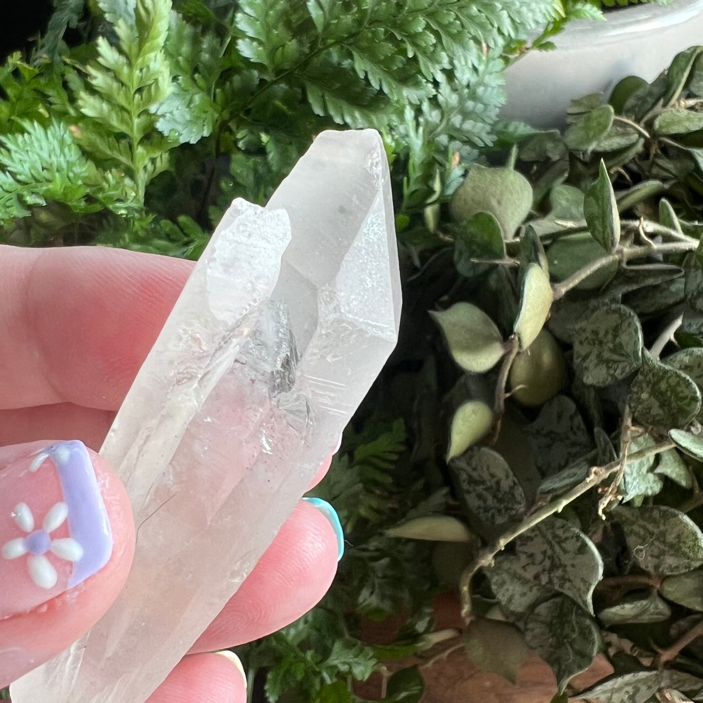 Red Skeletal Quartz Points with root - Brazil - Hematite incl Quartz (ii)