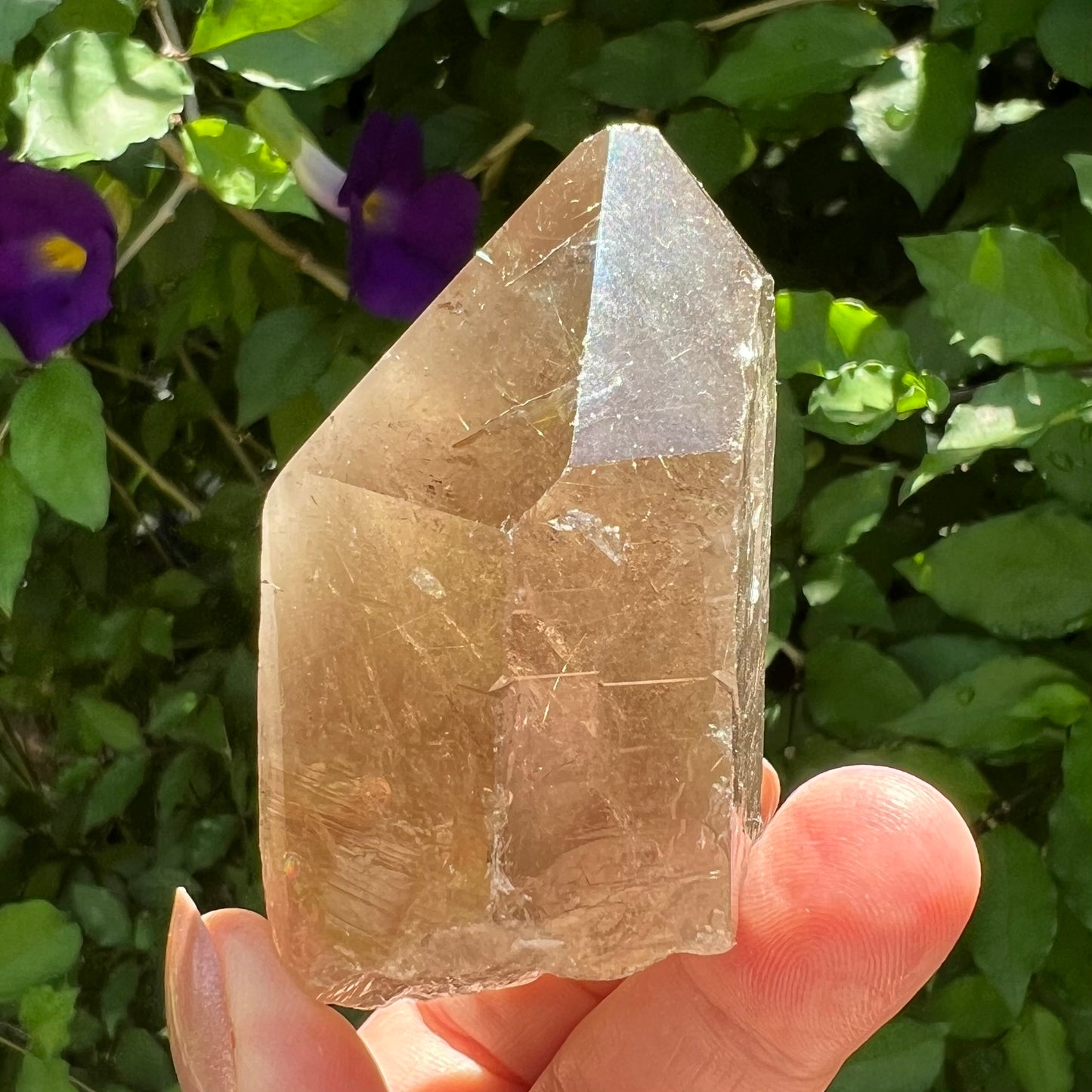 Rutilated Smoky Quartz Point |  Brazil | Natural and unpolished